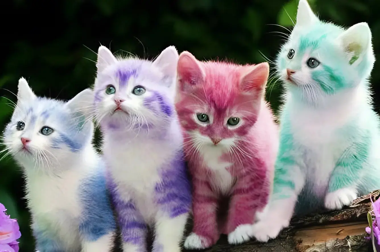 Pet Hair Dye Dangers