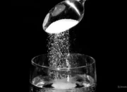 Salt Water for Cats: Hidden Health Benefits Every Cat Owner Should Know 6 Salt Water for Cats: Hidden Health Benefits Every Cat Owner Should Know