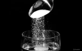 Salt Water for Cats