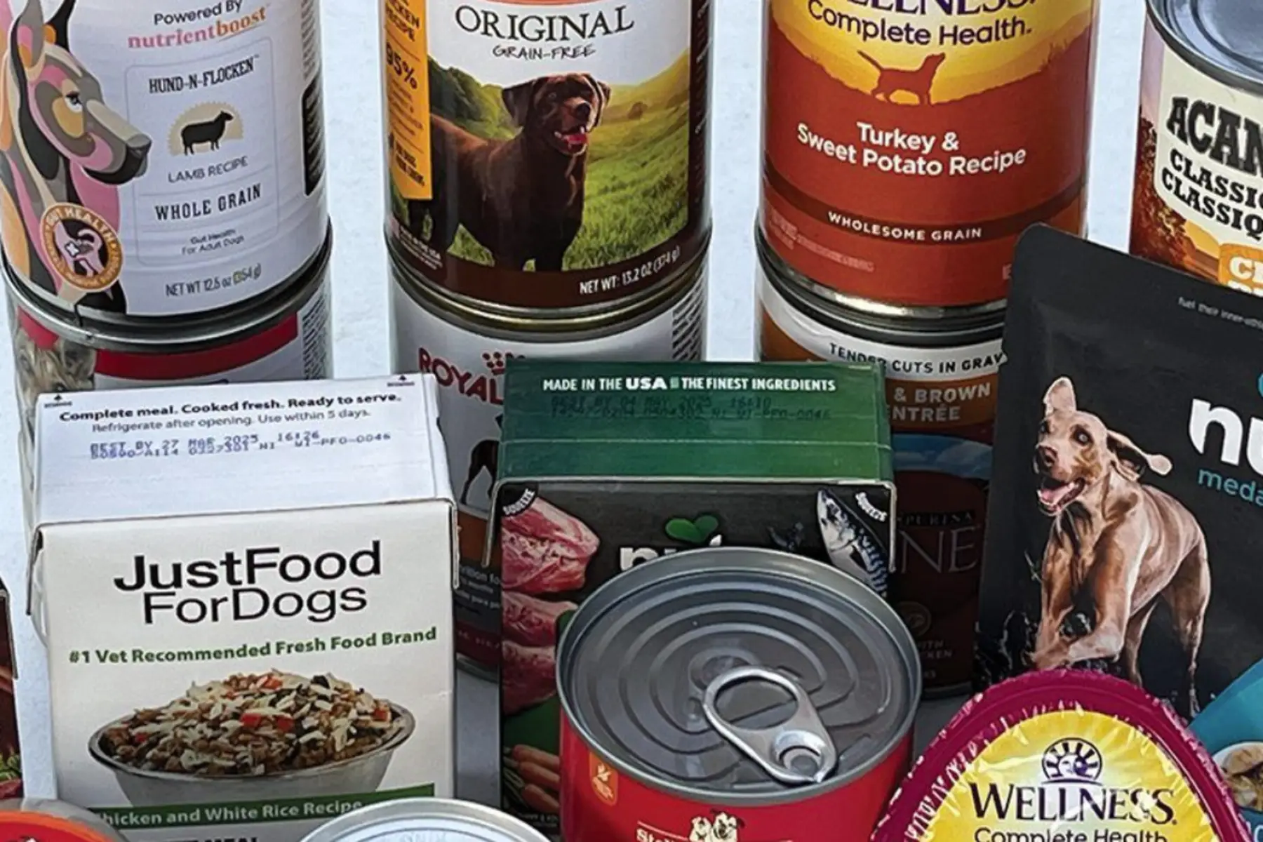 Top-Rated Dog Food Brands Recommended